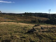 Fazenda / Sítio / Chácara à venda, 3000m² no Vila Seca, Caxias do Sul - Foto 11