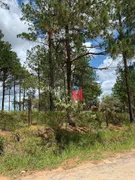 Terreno / Lote / Condomínio à venda, 1000m² no Cercado, Aracoiaba da Serra - Foto 3