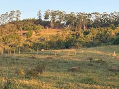 Fazenda / Sítio / Chácara à venda, 20000m² no Luiz Carlos, Guararema - Foto 5
