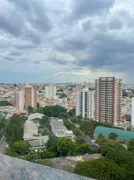 Cobertura com 3 Quartos à venda, 460m² no Jardim Avelino, São Paulo - Foto 1
