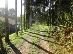 Fazenda / Sítio / Chácara com 3 Quartos à venda, 35000m² no Centro, Piracaia - Foto 6