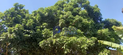 Fazenda / Sítio / Chácara com 2 Quartos à venda, 169m² no Jardim Monte Belo I, Campinas - Foto 28