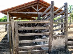 Fazenda / Sítio / Chácara com 2 Quartos à venda, 158m² no Zona Rural, Colinas do Sul - Foto 7