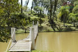 Fazenda / Sítio / Chácara com 3 Quartos à venda, 168000m² no Salgadinho, Campo Largo - Foto 32