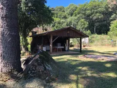 Fazenda / Sítio / Chácara com 3 Quartos à venda, 460000m² no , Alto Feliz - Foto 13