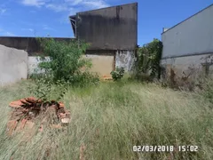 Terreno / Lote / Condomínio para venda ou aluguel, 242m² no Vila Souto, Bauru - Foto 1