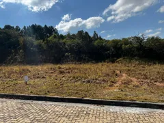 Terreno / Lote / Condomínio à venda, 1200m² no Centro, Tiradentes - Foto 5