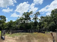 Fazenda / Sítio / Chácara à venda, 169m² no , São Valério da Natividade - Foto 6