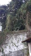 Terreno / Lote / Condomínio à venda, 360m² no Icaraí, Niterói - Foto 8