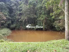 Fazenda / Sítio / Chácara com 3 Quartos à venda, 50000m² no Cachoeira, Santa Isabel - Foto 1