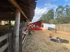 Fazenda / Sítio / Chácara com 14 Quartos à venda, 440000m² no Zona Rural, Aiuruoca - Foto 25