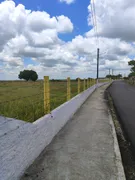 Fazenda / Sítio / Chácara com 2 Quartos à venda, 2000m² no , Monte Alegre - Foto 16