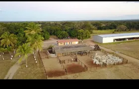 Fazenda / Sítio / Chácara à venda no Zona Rural, Urucuia - Foto 4