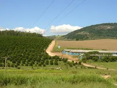 Fazenda / Sítio / Chácara com 4 Quartos à venda, 5000m² no Zona Rural, Serra Negra - Foto 10