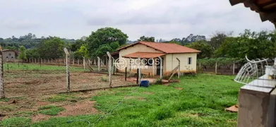 Fazenda / Sítio / Chácara com 3 Quartos à venda, 7500m² no Chácaras Eldorado, Uberlândia - Foto 6