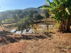 Fazenda / Sítio / Chácara à venda, 100m² no Centro, Araguari - Foto 14