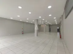 Loja / Salão / Ponto Comercial para alugar, 239m² no Itaum, Joinville - Foto 6