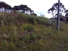 Terreno / Lote Comercial à venda no Galópolis, Caxias do Sul - Foto 4