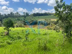 Fazenda / Sítio / Chácara com 2 Quartos à venda, 60m² no Zona Rural, São Sebastião do Oeste - Foto 36