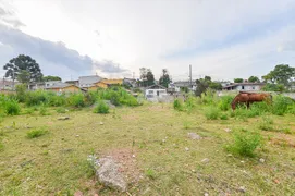 Terreno / Lote / Condomínio à venda, 4357m² no Jardim Apucarana, Almirante Tamandaré - Foto 7