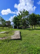 Fazenda / Sítio / Chácara com 3 Quartos à venda, 5000m² no Zona Rural, Monte Alegre - Foto 8