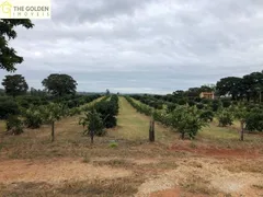 Fazenda / Sítio / Chácara com 3 Quartos à venda, 180m² no Parque Interlagos, Aguaí - Foto 1