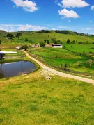 Fazenda / Sítio / Chácara com 8 Quartos à venda, 14520000m² no Nossa Senhora dos Remedios, Salesópolis - Foto 44