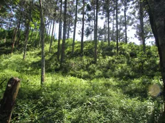 Fazenda / Sítio / Chácara com 1 Quarto à venda, 150000m² no Rural, Extrema - Foto 66