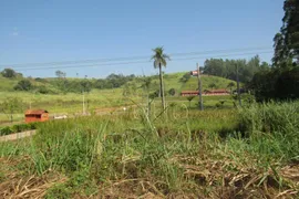 Terreno / Lote / Condomínio à venda, 45000m² no Santa Luzia, Charqueada - Foto 9