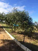 Terreno / Lote / Condomínio à venda, 180m² no Porto do Carro, Cabo Frio - Foto 13