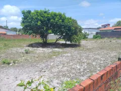 Terreno / Lote / Condomínio à venda, 1300m² no Aratuba, Vera Cruz - Foto 4