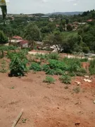 Terreno / Lote / Condomínio à venda, 250m² no Nhambuca Caucaia do Alto, Cotia - Foto 6