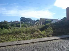 Terreno / Lote Comercial à venda no Sanvitto, Caxias do Sul - Foto 3