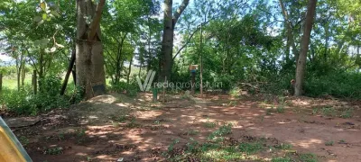 Fazenda / Sítio / Chácara com 3 Quartos à venda, 180m² no Reforma Agraria, Valinhos - Foto 6