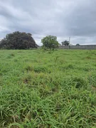 Fazenda / Sítio / Chácara com 4 Quartos à venda, 40000m² no Monte Alegre, Monte Alegre - Foto 6