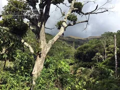 Terreno / Lote / Condomínio à venda, 100m² no Vale das Videiras, Petrópolis - Foto 14