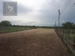 Fazenda / Sítio / Chácara com 3 Quartos à venda, 27000m² no Trairas, Macaíba - Foto 6