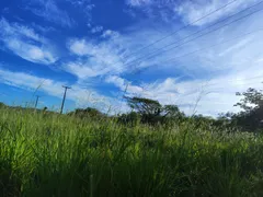 Fazenda / Sítio / Chácara à venda no Zona Rural, Glória do Goitá - Foto 4