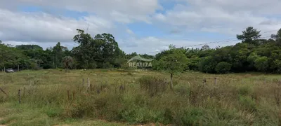 Fazenda / Sítio / Chácara à venda, 15950m² no São Tomé, Viamão - Foto 20