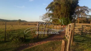 Fazenda / Sítio / Chácara com 4 Quartos à venda, 200m² no Dirceu Distrito de Marilia, Marília - Foto 5