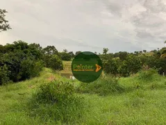 Fazenda / Sítio / Chácara à venda, 1064800m² no Zona Rural, Itapirapuã - Foto 12