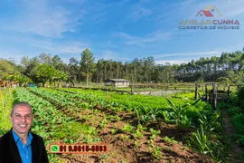 Fazenda / Sítio / Chácara com 2 Quartos à venda, 120m² no Campo da Brazina, Araricá - Foto 16