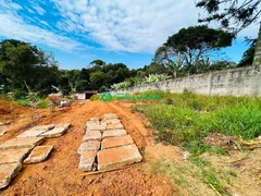 Casa de Condomínio com 3 Quartos à venda, 500m² no Chácara Rincao, Cotia - Foto 5