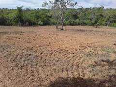 Fazenda / Sítio / Chácara com 4 Quartos à venda, 212m² no Centro, Formoso - Foto 21