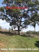 Fazenda / Sítio / Chácara com 1 Quarto à venda, 30000m² no Centro, Bom Jardim de Minas - Foto 6