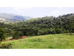 Fazenda / Sítio / Chácara com 4 Quartos à venda, 288m² no Sao Joao Novo, São Roque - Foto 20