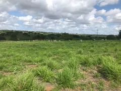 Fazenda / Sítio / Chácara com 3 Quartos à venda, 21600m² no Zona Rural, Monte Alegre - Foto 13