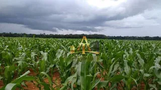 Fazenda / Sítio / Chácara com 1 Quarto à venda, 100m² no Zona Rural, Santana do Araguaia - Foto 1