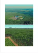 Fazenda / Sítio / Chácara com 1 Quarto à venda, 20000000m² no Capuava, Redenção - Foto 1