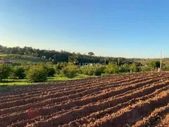 Fazenda / Sítio / Chácara com 4 Quartos à venda, 500m² no Reforma Agraria, Valinhos - Foto 11